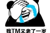 《又老了一岁》(曾雨轩演唱)的文本歌词及LRC歌词