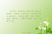 《缘散缘尽》(阿,毛演唱)的文本歌词及LRC歌词
