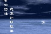 《没有你陪伴我真的好孤单》(冷漠演唱)的文本歌词及LRC歌词
