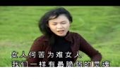 《女人何苦为难女人》(辛晓琪演唱)的文本歌词及LRC歌词