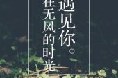 《在无风的时光遇见你》(天籁天演唱)的文本歌词及LRC歌词
