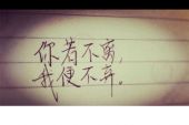 《你不离我不弃》(天籁天演唱)的文本歌词及LRC歌词