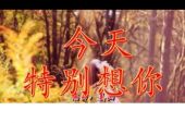 《今天特别想你》(天籁天演唱)的文本歌词及LRC歌词