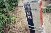 《慌乱》(天籁天演唱)的文本歌词及LRC歌词
