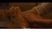 《爱让人无力》(陶莉萍演唱)的文本歌词及LRC歌词