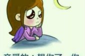 《亲爱的我又想你了》(波拉演唱)的文本歌词及LRC歌词