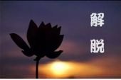 《解脱了》(白鹤演唱)的文本歌词及LRC歌词