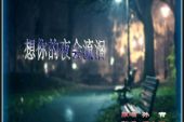《想你的夜会流泪》(孙青演唱)的文本歌词及LRC歌词