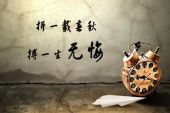 《无悔》(苏有朋演唱)的文本歌词及LRC歌词