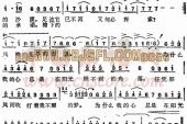 《阳光照不到的角落》(苏芮演唱)的文本歌词及LRC歌词