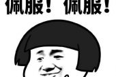 《你是不是疲倦了》(苏芮演唱)的文本歌词及LRC歌词