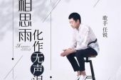 《相思雨化作无声泪》(任锐演唱)的文本歌词及LRC歌词