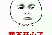 《雀跃》(任然,小来哥演唱)的文本歌词及LRC歌词