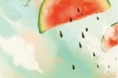 《可爱夏天》(李美萱演唱)的文本歌词及LRC歌词