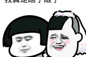 《我想我是瞎了眼》(潘美辰演唱)的文本歌词及LRC歌词
