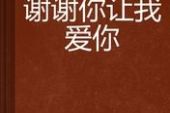 《谢谢你让我爱你》(牛朝阳演唱)的文本歌词及LRC歌词