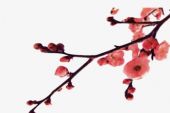 《一支红杏》(冷漠演唱)的文本歌词及LRC歌词