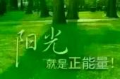 《昨夜的雨今夜的你》(晨熙演唱)的文本歌词及LRC歌词