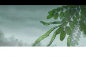 《相思空》(寂悸演唱)的文本歌词及LRC歌词