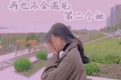 《再也不会遇见第二个她》(李哈哈&威仔演唱)的文本歌词及LRC歌词
