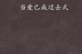 《爱的过去式》(庄心妍演唱)的文本歌词及LRC歌词