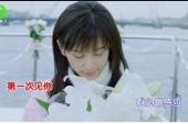 《把你写进我的情歌里》(曾静玟演唱)的文本歌词及LRC歌词