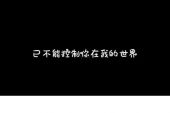 《情歌再也唱不出我的伤悲》(欢子演唱)的文本歌词及LRC歌词