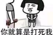 《I Will Carry You?》(五月天演唱)的文本歌词及LRC歌词