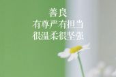 《致青春》(八三夭演唱)的文本歌词及LRC歌词