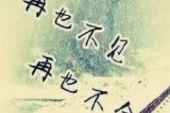 《爱永相随》(罗永甄演唱)的文本歌词及LRC歌词
