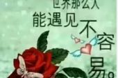 《这一生只为遇见你》(张怡诺演唱)的文本歌词及LRC歌词