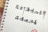 《在薄情的世界深情地活着》(郭飞宏演唱)的文本歌词及LRC歌词