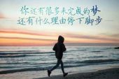 《未完成的梦》(杨泉演唱)的文本歌词及LRC歌词