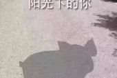 《阳光下的你》(慕林唯演唱)的文本歌词及LRC歌词