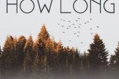 《How Long》(王大痣演唱)的文本歌词及LRC歌词