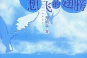 《想飞的翅膀》(陈雅森/李明哲演唱)的文本歌词及LRC歌词
