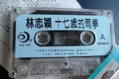 《十七岁的雨季》(林志颖演唱)的文本歌词及LRC歌词