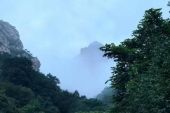 《下山》(要不要卖菜演唱)的文本歌词及LRC歌词