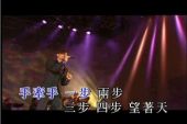 《来过我生命的你(Live)》(张韶涵演唱)的文本歌词及LRC歌词