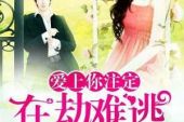 《爱上你我在劫难逃》(沐小溪演唱)的文本歌词及LRC歌词