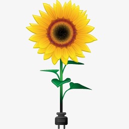 《太阳花》LRC歌词 《太阳花》(辛翊萱)歌词555uuu下载