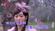 《情如花》LRC歌词 《情如花》(斯琴高丽)歌词555uuu下载