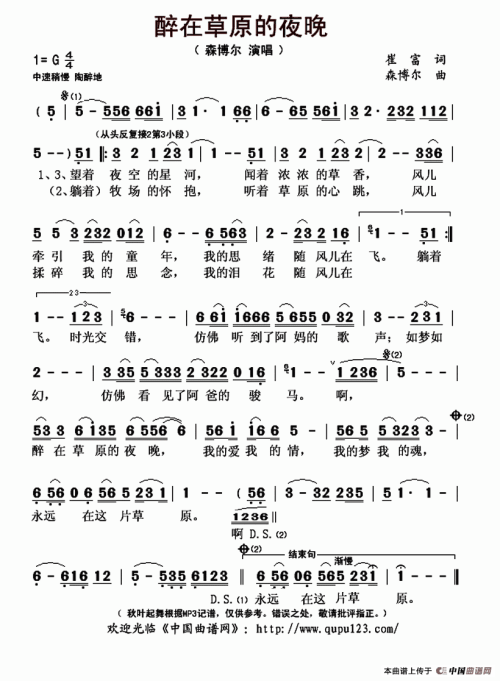 《醉在草原的夜晚》LRC歌词 《醉在草原的夜晚》(齐峰)歌词555uuu下载