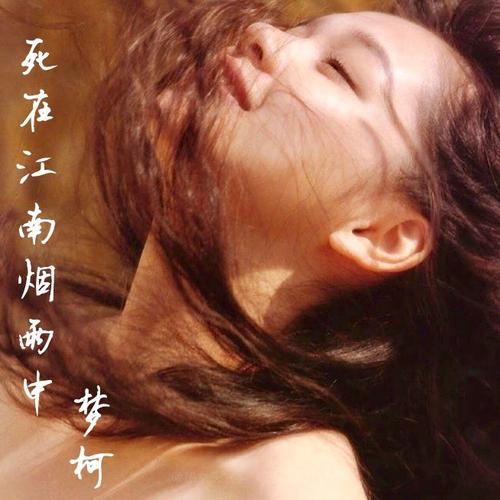 《我也想要当网红》LRC歌词 《我也想要当网红》(MC井宁)歌词555uuu下载