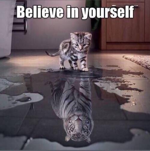 《Believe in Yourself!》LRC歌词 《Believe in Yourself!》(palet)歌词555uuu下载