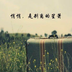 《悄悄别离》LRC歌词 《悄悄别离》(孟杨)歌词555uuu下载