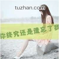 《不是说好不分手》LRC歌词 《不是说好不分手》(杨罡)歌词555uuu下载