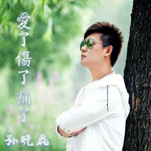 《爱了伤了痛了》LRC歌词 《爱了伤了痛了》(孙晓磊)歌词555uuu下载