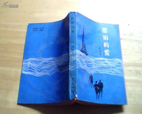 《漂泊的爱》LRC歌词 《漂泊的爱》(李海强)歌词555uuu下载