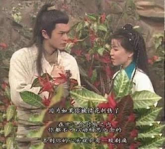 《情花毒》LRC歌词 《情花毒》(乔玲儿)歌词555uuu下载